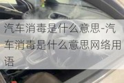 汽车消毒是什么意思-汽车消毒是什么意思网络用语