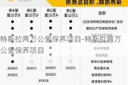 特斯拉两万公里保养项目-特斯拉两万公里保养项目