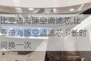 比亚迪海豚空调滤芯,比亚迪海豚空调滤芯多长时间换一次