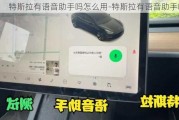 特斯拉有语音助手吗怎么用-特斯拉有语音助手吗