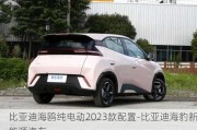 比亚迪海鸥纯电动2023款配置-比亚迪海豹新能源汽车