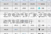 北京电动汽车厂家-北京电动汽车品牌排行