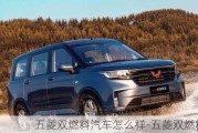 五菱双燃料汽车怎么样-五菱双燃料汽车