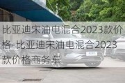 比亚迪宋油电混合2023款价格-比亚迪宋油电混合2023款价格商务车