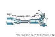 汽车传动轴百科-汽车传动轴图片解析