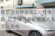 比亚迪海豚能用220充电吗_比亚迪海豚新能源汽车怎么充电