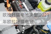 欧拉好猫电池类型,2021年欧拉好猫电池