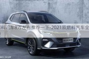 双燃料汽车8万左右推荐一下-2021双燃料汽车全部车型