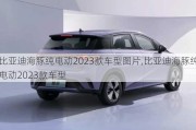 比亚迪海豚纯电动2023款车型图片,比亚迪海豚纯电动2023款车型