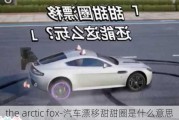 the arctic fox-汽车漂移甜甜圈是什么意思