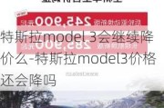 特斯拉model 3会继续降价么-特斯拉model3价格还会降吗