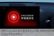 特斯拉哨兵模式触发警报是怎么回事_特斯拉哨兵模式会给手机发消息么