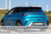 比亚迪海豚新能源汽车2023款怎么开,比亚迪海豚新能源汽车2023款