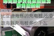 比亚迪海豚的充电桩,比亚迪海豚充电桩多少千瓦