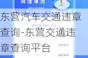 东营汽车交通违章查询-东营交通违章查询平台