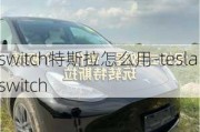 switch特斯拉怎么用-tesla switch