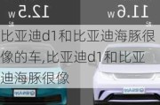 比亚迪d1和比亚迪海豚很像的车,比亚迪d1和比亚迪海豚很像