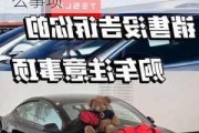 买二手特斯拉要注意什么-买二手特斯拉要注意什么事项