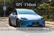 特斯拉fsd是什么缩写的车-特斯拉fsd是什么缩写的车