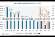 中国新能源汽车市场保有量_中国新能源汽车市场