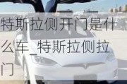 特斯拉侧开门是什么车_特斯拉侧拉门