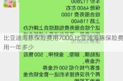 比亚迪海豚保险费用7000,比亚迪海豚保险费用一年多少