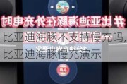 比亚迪海豚不支持慢充吗,比亚迪海豚慢充演示