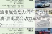 油电混合动力汽车怎么样省油-油电混合动力车省油吗?