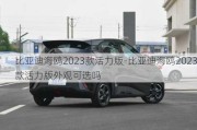 比亚迪海鸥2023款活力版-比亚迪海鸥2023款活力版外观可选吗