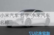 小米汽车 名字-小米汽车名称