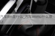 汽车itm是什么_汽车immu什么意思