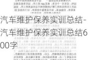 汽车维护保养实训总结-汽车维护保养实训总结600字