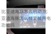 比亚迪海豚怎么启动,比亚迪海豚怎么样关掉用电功能吗