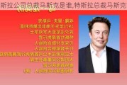 特斯拉公司总裁马斯克是谁,特斯拉总裁马斯克简历