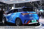 比亚迪海豚赛道版拉花,2021款比亚迪海豚