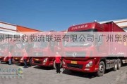 广州市黑豹物流联运有限公司-广州黑豹汽车