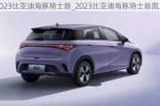 2023比亚迪海豚骑士版_2023比亚迪海豚骑士版图片