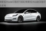 特斯拉model3涨价1000,特斯拉model3涨价了还能买吗