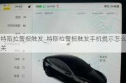 特斯拉警报触发_特斯拉警报触发手机提示怎么关