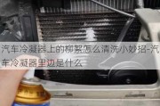 汽车冷凝器上的柳絮怎么清洗小妙招-汽车冷凝器里边是什么