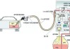 汽车回油管放油能用吗-汽车回油管工作原理