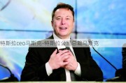 特斯拉ceo马斯克-特斯拉公司总裁马斯克