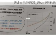 唐dm 电池衰减_唐dmi电池容量衰减