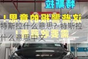 特斯拉什么意思?-特斯拉什么意思中文