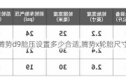 腾势d9胎压设置多少合适,腾势x轮胎尺寸