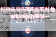 比亚迪海豚充电口打不开_比亚迪海豚手机充电怎么充