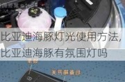 比亚迪海豚灯光使用方法,比亚迪海豚有氛围灯吗