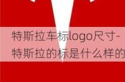 特斯拉车标logo尺寸-特斯拉的标是什么样的