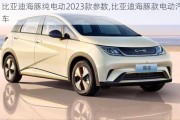 比亚迪海豚纯电动2023款参数,比亚迪海豚款电动汽车