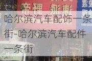 哈尔滨汽车配饰一条街-哈尔滨汽车配件一条街